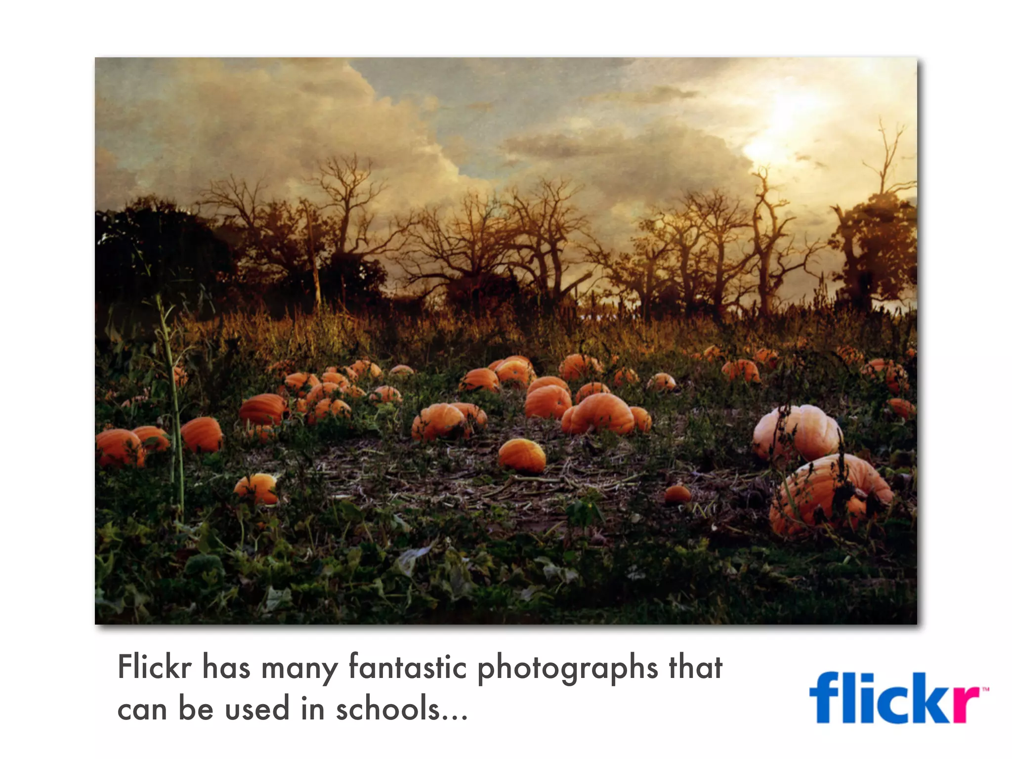 Flickr has many fantastic photographs that
can be used in schools...
 
