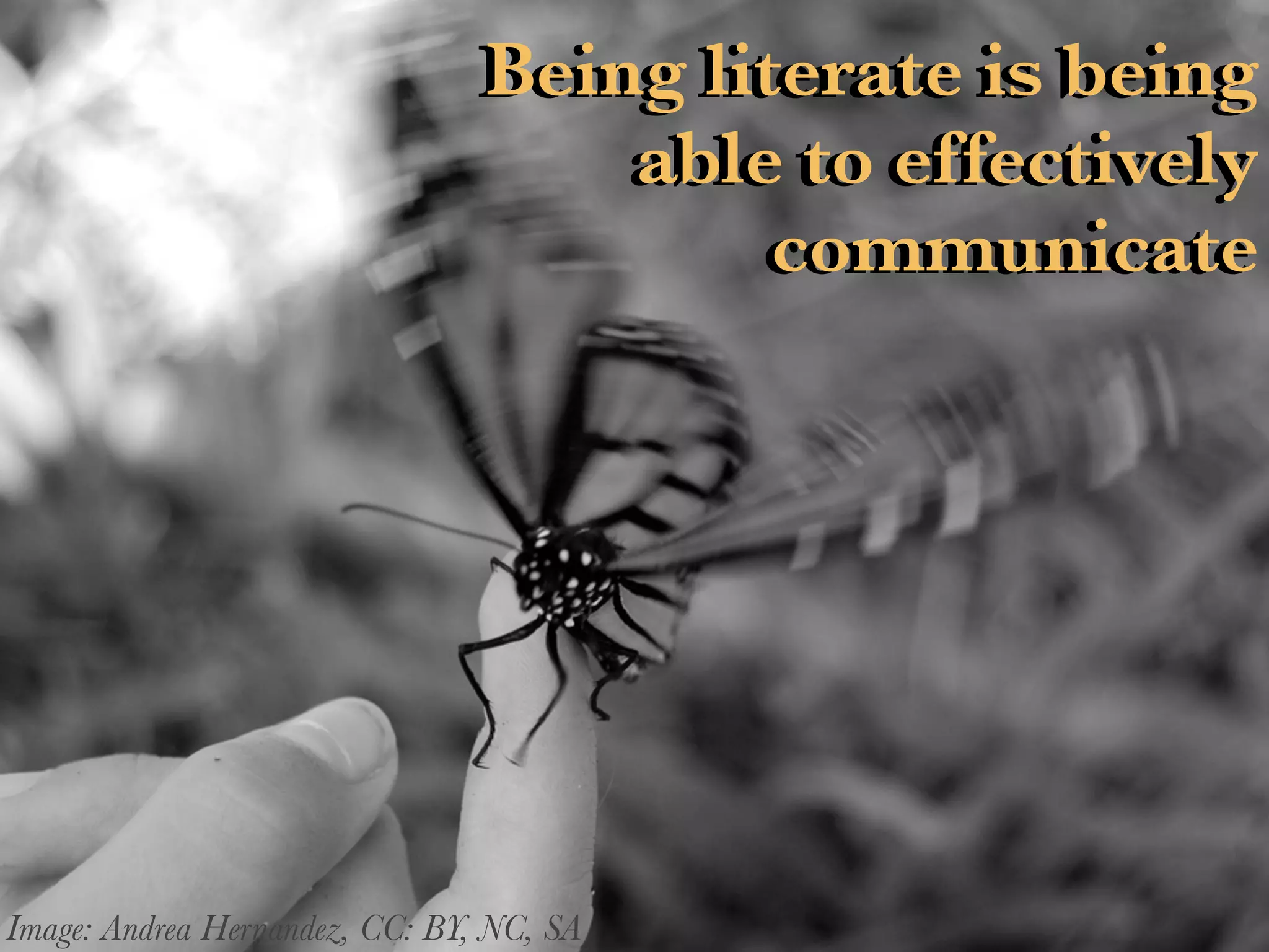 Being literate is being
able to effectively
communicate
Being literate is being
able to effectively
communicate
Image: Andrea Hernandez, CC: BY, NC, SA
 