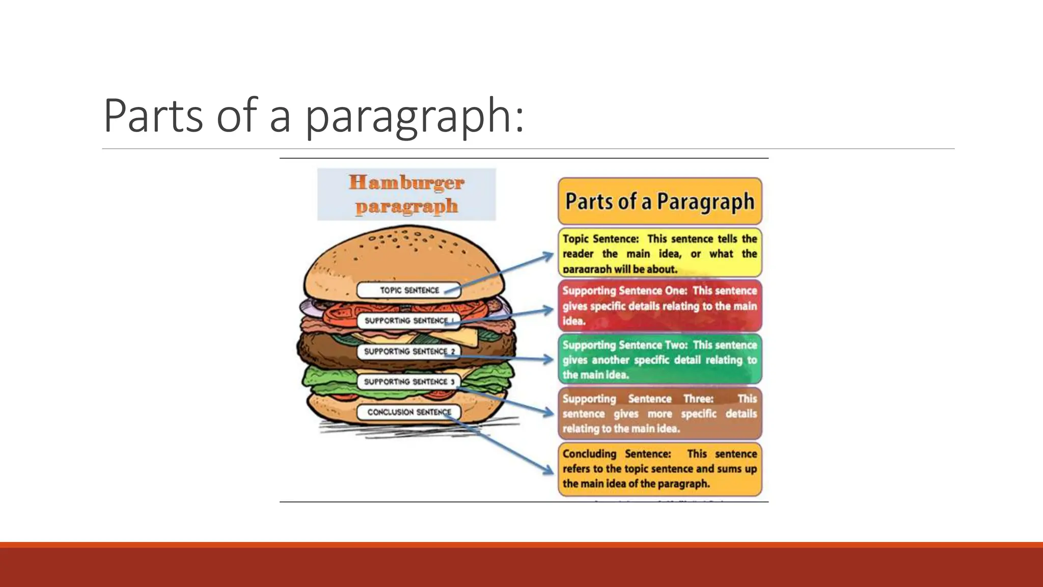 Parts of a paragraph:
 