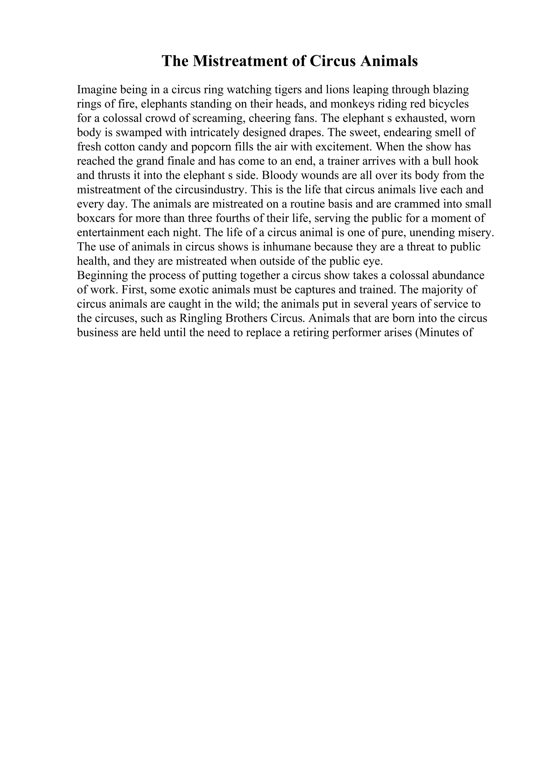 The Mistreatment of Circus Animals
Imagine being in a circus ring watching tigers and lions leaping through blazing
rings of fire, elephants standing on their heads, and monkeys riding red bicycles
for a colossal crowd of screaming, cheering fans. The elephant s exhausted, worn
body is swamped with intricately designed drapes. The sweet, endearing smell of
fresh cotton candy and popcorn fills the air with excitement. When the show has
reached the grand finale and has come to an end, a trainer arrives with a bull hook
and thrusts it into the elephant s side. Bloody wounds are all over its body from the
mistreatment of the circusindustry. This is the life that circus animals live each and
every day. The animals are mistreated on a routine basis and are crammed into small
boxcars for more than three fourths of their life, serving the public for a moment of
entertainment each night. The life of a circus animal is one of pure, unending misery.
The use of animals in circus shows is inhumane because they are a threat to public
health, and they are mistreated when outside of the public eye.
Beginning the process of putting together a circus show takes a colossal abundance
of work. First, some exotic animals must be captures and trained. The majority of
circus animals are caught in the wild; the animals put in several years of service to
the circuses, such as Ringling Brothers Circus. Animals that are born into the circus
business are held until the need to replace a retiring performer arises (Minutes of
 