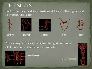 Back then they used signs instead of letters. The signs used
in Mesopotamia are:




Barley       Head           Bird           Ox          Tree

After many centuries, the signs changed, and most
of them were wedged shaped symbols:

               Cuneiform.
                                          Palm
 