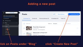 Writing a Blog Post and Publishing it Online | PDF