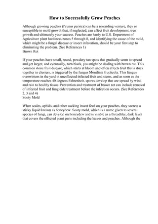 How to Successfully Grow Peaches
Although growing peaches (Prunus persica) can be a rewarding venture, they re
susceptible to mold growth that, if neglected, can affect fruit development, tree
growth and ultimately your success. Peaches are hardy to U.S. Department of
Agriculture plant hardiness zones 5 through 8, and identifying the cause of the mold,
which might be a fungal disease or insect infestation, should be your first step to
eliminating the problem. (See References 1)
Brown Rot
If your peaches have small, round, powdery tan spots that gradually seem to spread
and get larger, and eventually, turn black, you might be dealing with brown rot. This
common stone fruit disease, which starts at bloom and often affects fruit that s stuck
together in clusters, is triggered by the fungus Monilinia fructicola. This fungus
overwinters in the yard in uncollected infected fruit and stems, and as soon as the
temperature reaches 40 degrees Fahrenheit, spores develop that are spread by wind
and rain to healthy tissue. Prevention and treatment of brown rot can include removal
of infected fruit and fungicide treatment before the infection occurs. (See References
2, 3 and 4)
Sooty Mold
When scales, aphids, and other sucking insect feed on your peaches, they secrete a
sticky liquid known as honeydew. Sooty mold, which is a name given to several
species of fungi, can develop on honeydew and is visible as a threadlike, dark layer
that covers the effected plant parts including the leaves and peaches. Although the
 