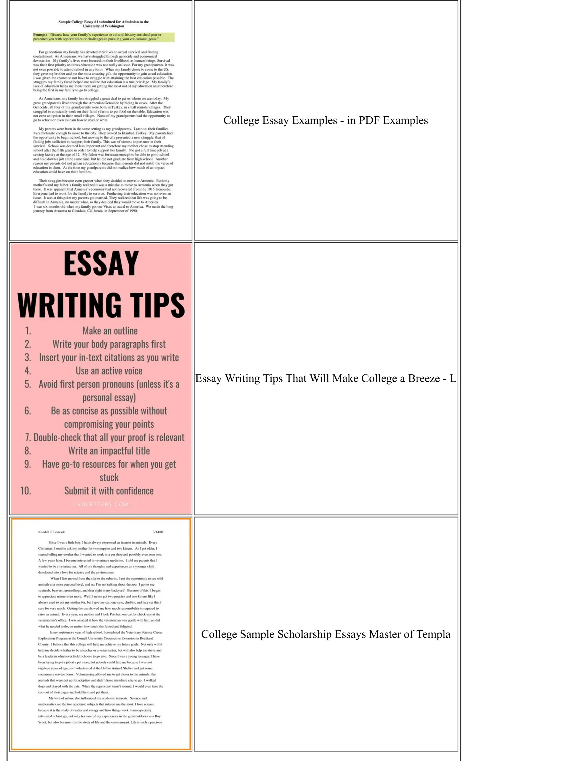 Writing A College Essay PDF nebic-on-subscribestar-adult
