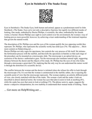 Human Eye Essay Examples Writing A Contrast Essay | PDF