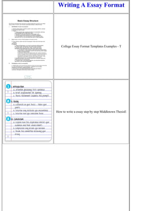 Writing A Essay Format | PDF