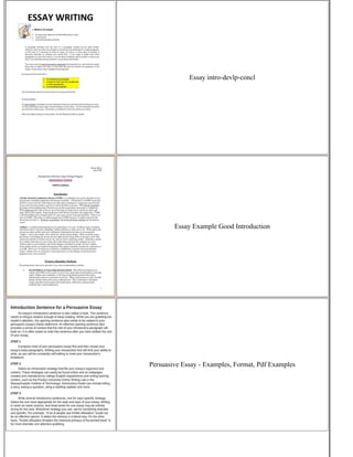 Writing A Good Essay Introduction | PDF