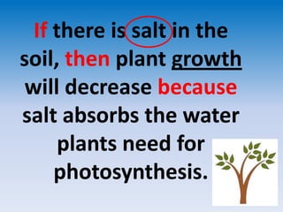 If there is salt in the soil, then plant growth will decrease because salt absorbs the water plants need for photosynthesis.