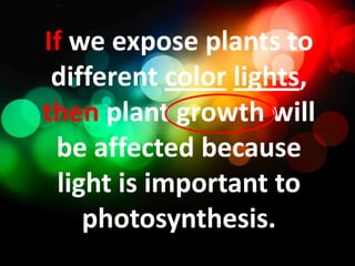 If we expose plants to different colorlights, then plant growth will be affected because light is important to photosynthesis.