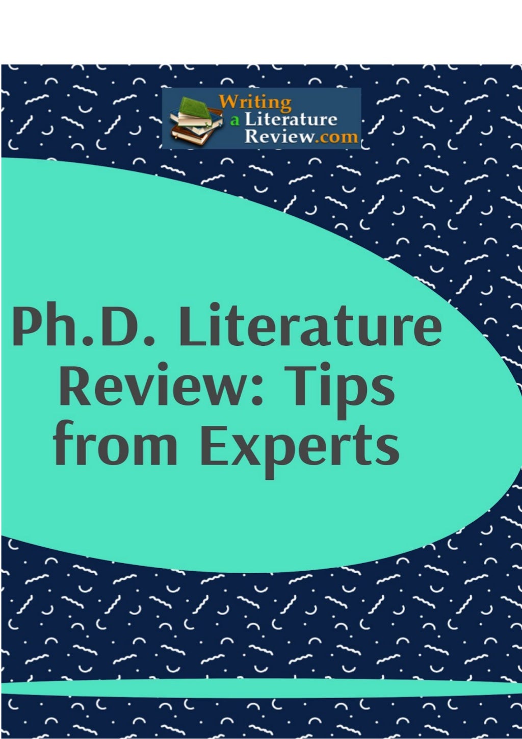 tips phd literature review