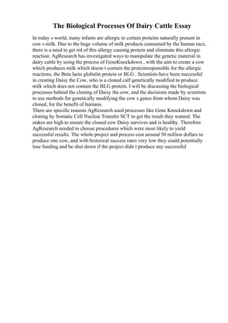 The Biological Processes Of Dairy Cattle Essay
In today s world, many infants are allergic to certain proteins naturally present in
cow s milk. Due to the huge volume of milk products consumed by the human race,
there is a need to get rid of this allergy causing protein and eliminate this allergic
reaction. AgResearch has investigated ways to manipulate the genetic material in
dairy cattle by using the process of GeneKnockdown , with the aim to create a cow
which produces milk which doesn t contain the proteinresponsible for the allergic
reactions, the Beta lacto globulin protein or BLG . Scientists have been successful
in creating Daisy the Cow, who is a cloned calf genetically modified to produce
milk which does not contain the BLG protein. I will be discussing the biological
processes behind the cloning of Daisy the cow, and the decisions made by scientists
to use methods for genetically modifying the cow s genes from whom Daisy was
cloned, for the benefit of humans.
There are specific reasons AgResearch used processes like Gene Knockdown and
cloning by Somatic Cell Nuclear Transfer SCT to get the result they wanted. The
stakes are high to ensure the cloned cow Daisy survives and is healthy. Therefore
AgResearch needed to choose procedures which were most likely to yield
successful results. The whole project and process cost around 50 million dollars to
produce one cow, and with historical success rates very low they could potentially
lose funding and be shut down if the project didn t produce any successful
 