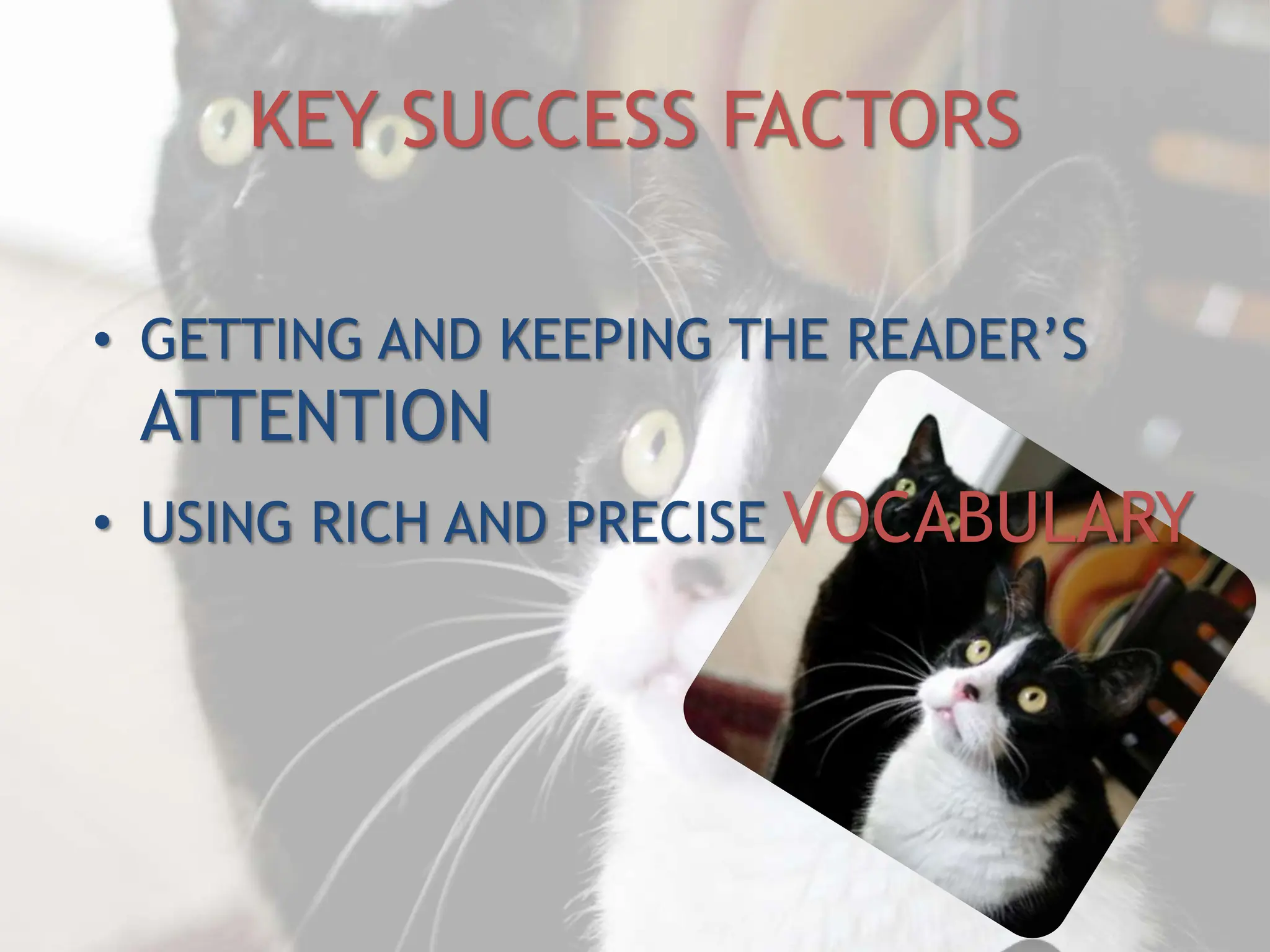 KEY SUCCESS FACTORS
• GETTING AND KEEPING THE READER’S
ATTENTION
• USING RICH AND PRECISE VOCABULARY