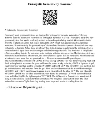 Eukaryotic Genotoxicity Biosensor
A Eukaryotic Genotoxicity Biosensor
Commonly used genotoxicity tests are designed to be tested on bacteria, a domain of life very
different from the eukaryotes scientists are testing for. Scientists at UMIST worked to develop a new
genotoxicity test that would be closely related to the eukaryotes being studied. Genotoxicity is the
property of chemical agents that causes damage to DNA which then causes usually deleterious
mutations. Scientists study the genotoxicity of chemicals to limit the exposure of materials that may
be harmful to humans. While there are already two tests designed to determine the genotoxicity of a
certain chemical agent there are advantages and disadvantages to each. The Ames test is simple and
effective, making it easier for scientists to do multiple tests in a shorter period. But the Ames test uses
Salmonella typhimurium, a bacterium, and some chemical agents that are harmful to bacteria are safe
to eukaryotes and some that are genotoxic to ... Show more content on Helpwriting.net ...
The plasmid first had to lose S65T GFP so it could take up yEGFP. This was done by adding Pac1 and
Asc1 to the plasmid to cut out the gene and leave the proper sticky ends for yEGFP to ligate to. A gel
electrophoresis was then used to separate pWDH444 and S65T GFP. The pWDH444 was cut from the
gel electrophoresis and removed from the gel. After successful removal of the plasmid from the gel
pWDH444 and yEGFP were ligated to create a new plasmid with the ideal GFP. The new plasmid,
pWDH444 yEGFP was the ideal plasmid for yeast due to the enhanced GFP with a codon bias for
yeast and it had double the light output of S65T GFP. The difference in fluorescence was detected
using a extra sensitive fluorimeter than normal and 495 nm glass, sharp cut off filter. The filter
reduced the amount of light shattering leading to an improved sensitive reading from the
... Get more on HelpWriting.net ...
 