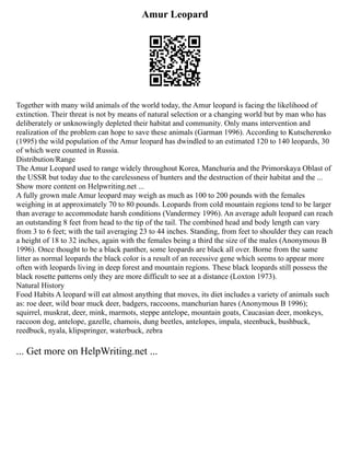 Writing And Drawing Template For Kindergarte | PDF