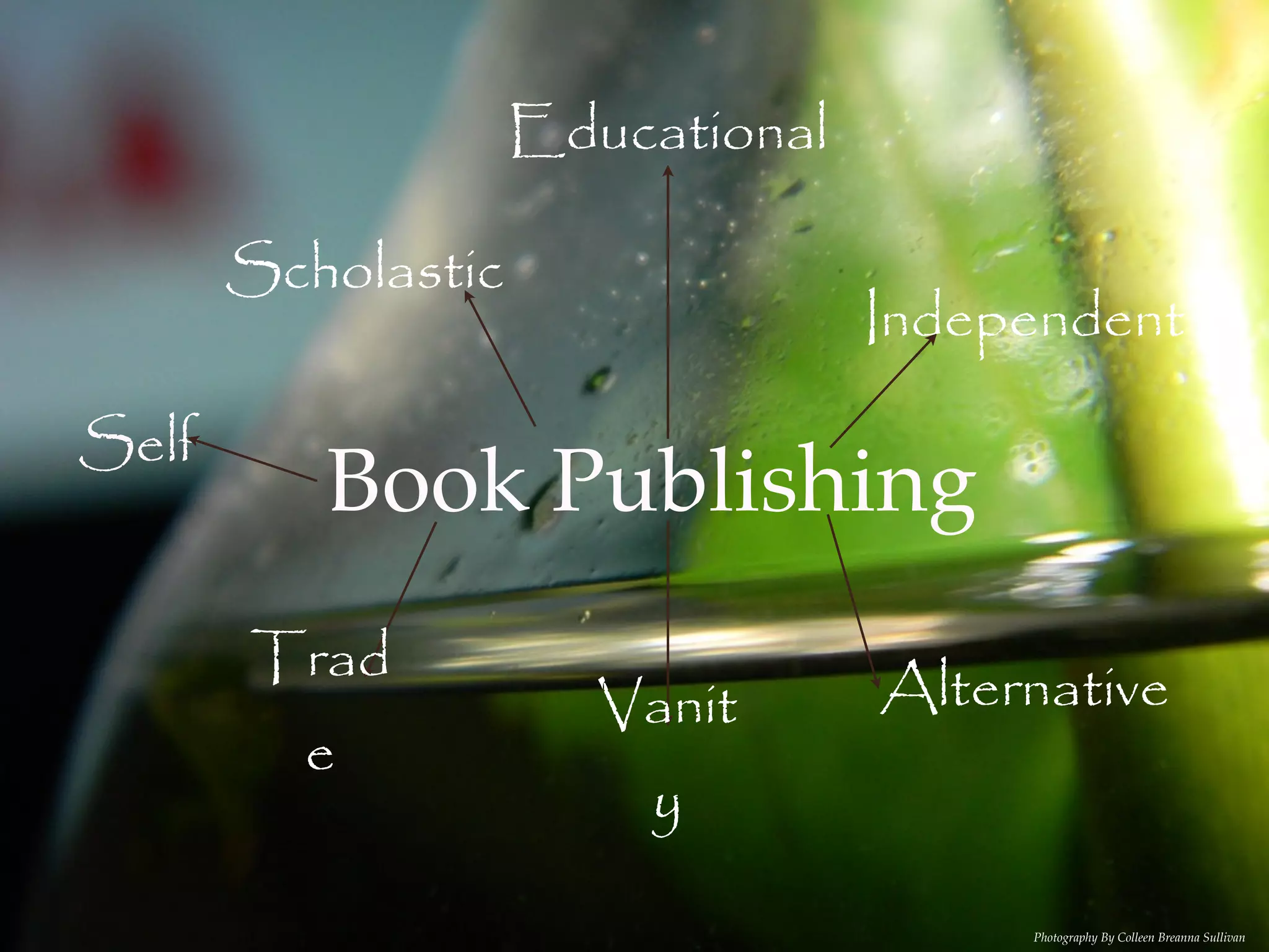 Educational

       Scholastic
                                  Independent

Self
          Book Publishing
       Trad
                       Vanit      Alternative
         e
                        y

                                       Photography By Colleen Breanna Sullivan
 