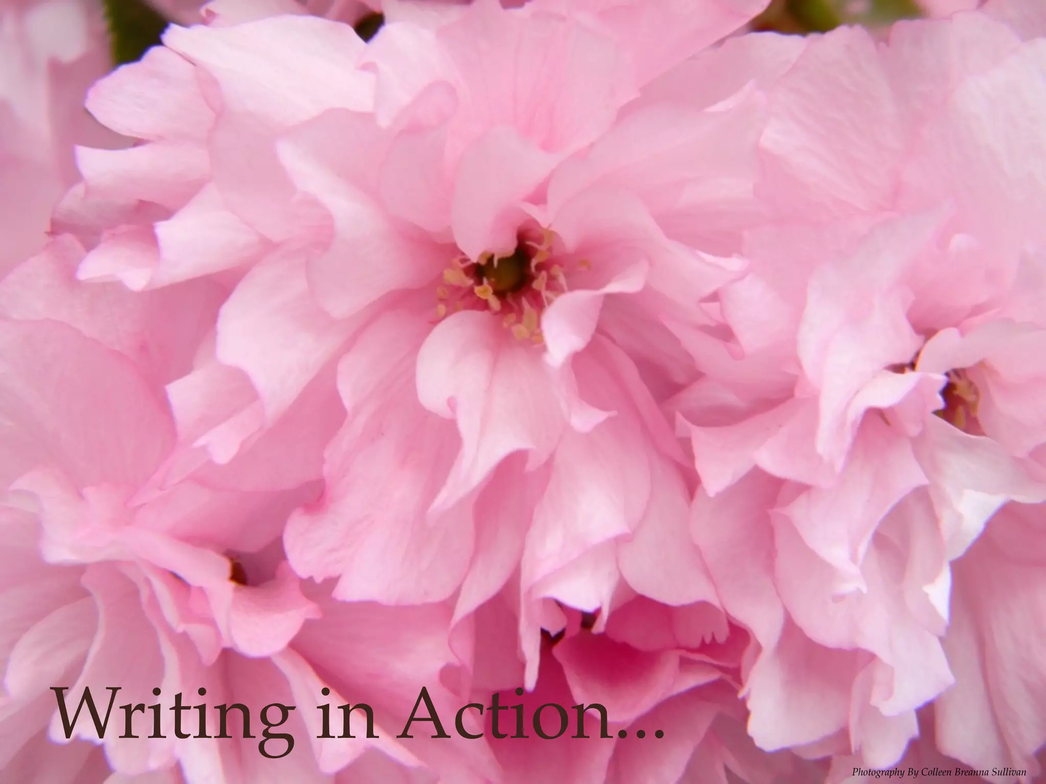 Writing in Action...
                       Photography By Colleen Breanna Sullivan
 