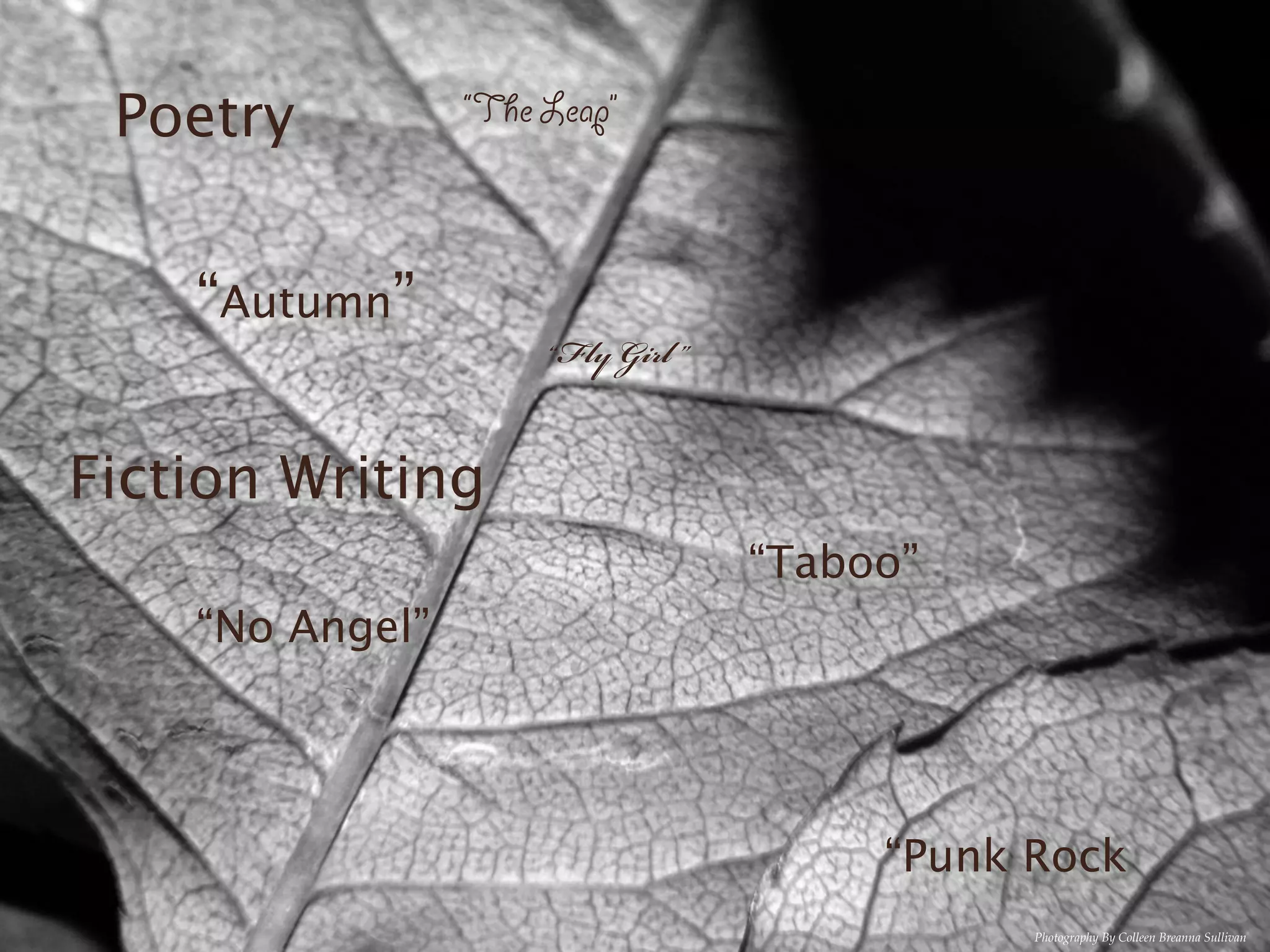 Poetry          “The Leap”



    “Autumn”
                      “Fly Girl ”


Fiction Writing
                                    “Taboo”
    “No Angel”




                                         “Punk Rock
                                               Photography By Colleen Breanna Sullivan
 