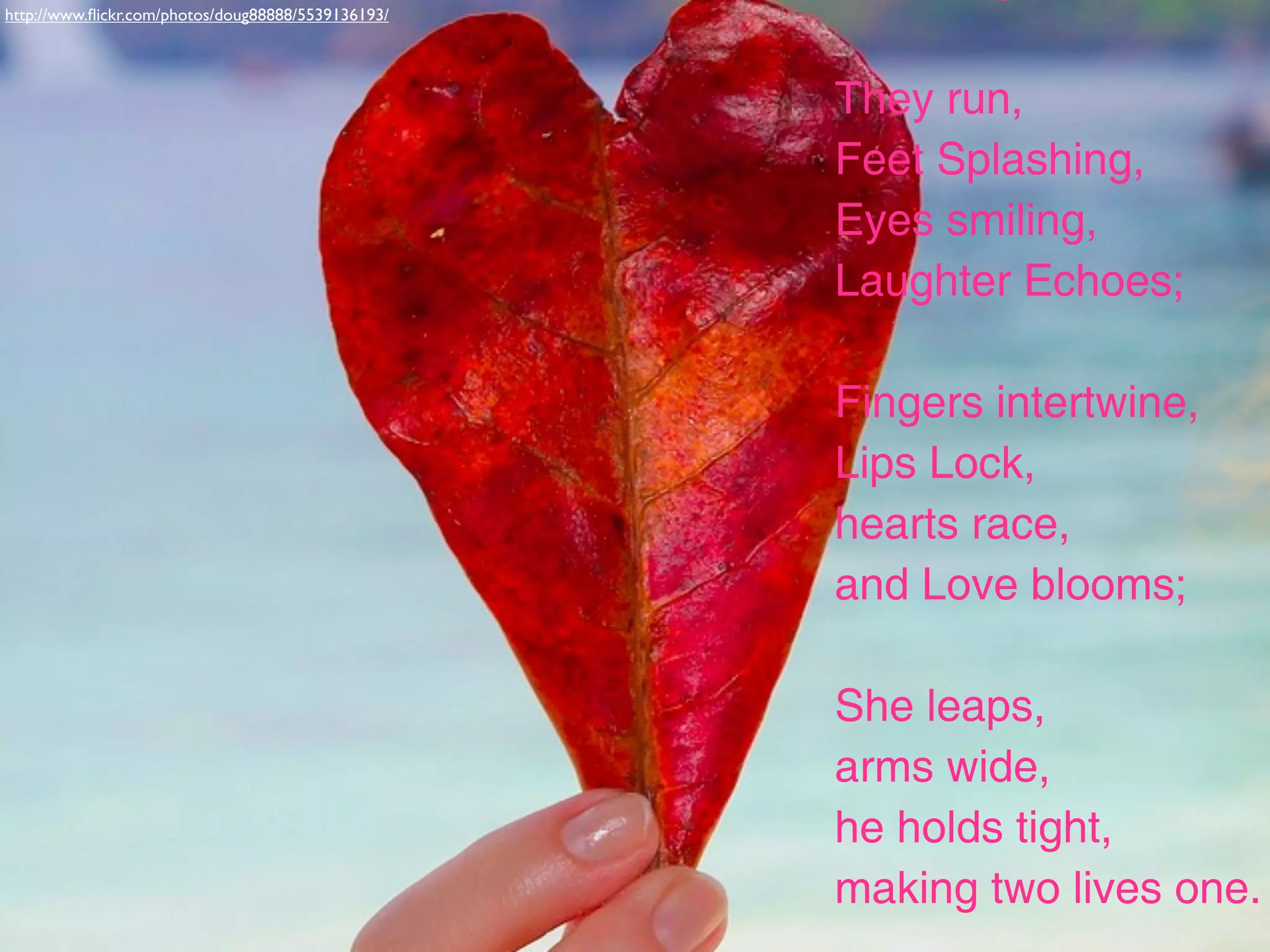 http://www.ﬂickr.com/photos/doug88888/5539136193/




                                                    They run,
                                                    Feet Splashing,
                                                    Eyes smiling,
                                                    Laughter Echoes;

                                                    Fingers intertwine,
                                                    Lips Lock,
                                                    hearts race,
                                                    and Love blooms;

                                                    She leaps,
                                                    arms wide,
                                                    he holds tight,
                                                    making two lives one.
 