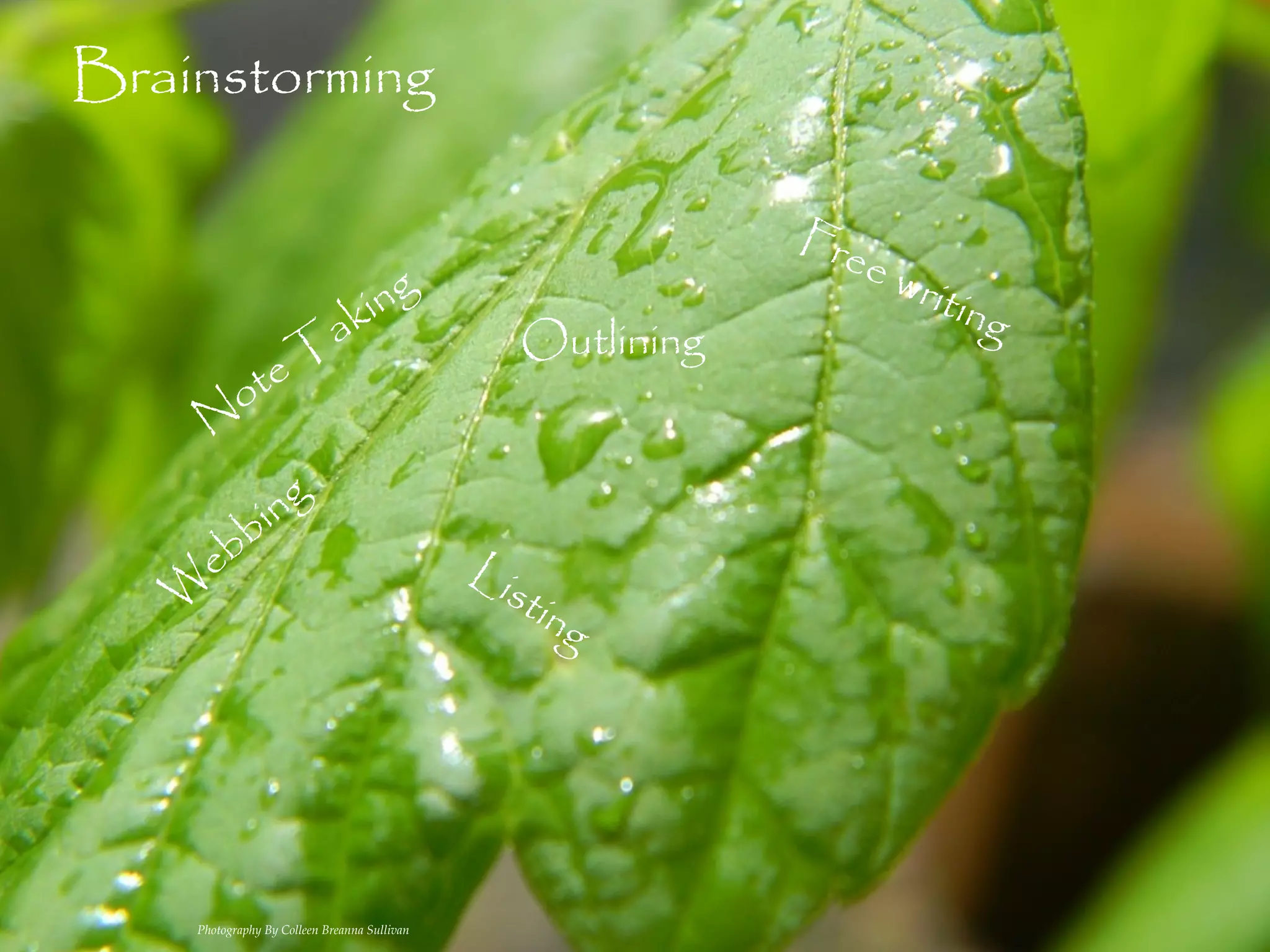 Brainstorming

                                                                Fre
                                                                   ew
                                ki ng                                 ritin
                                                                           g
                             a                      Outlining
                  e T
           ot
     N

                 i ng
       e bb                                   Li
   W                                               sti
                                                         ng




    Photography By Colleen Breanna Sullivan
 