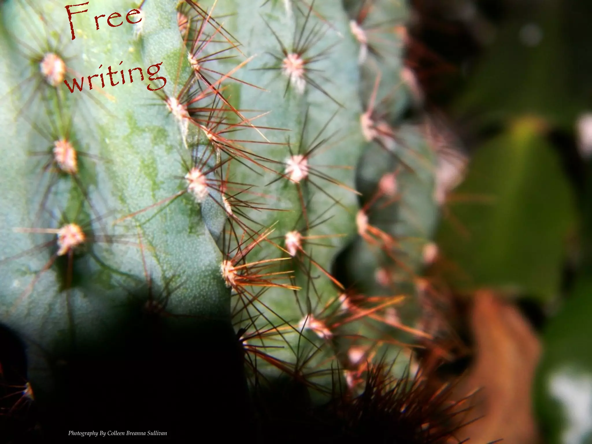 F ree
wri ting




Photography By Colleen Breanna Sullivan
 