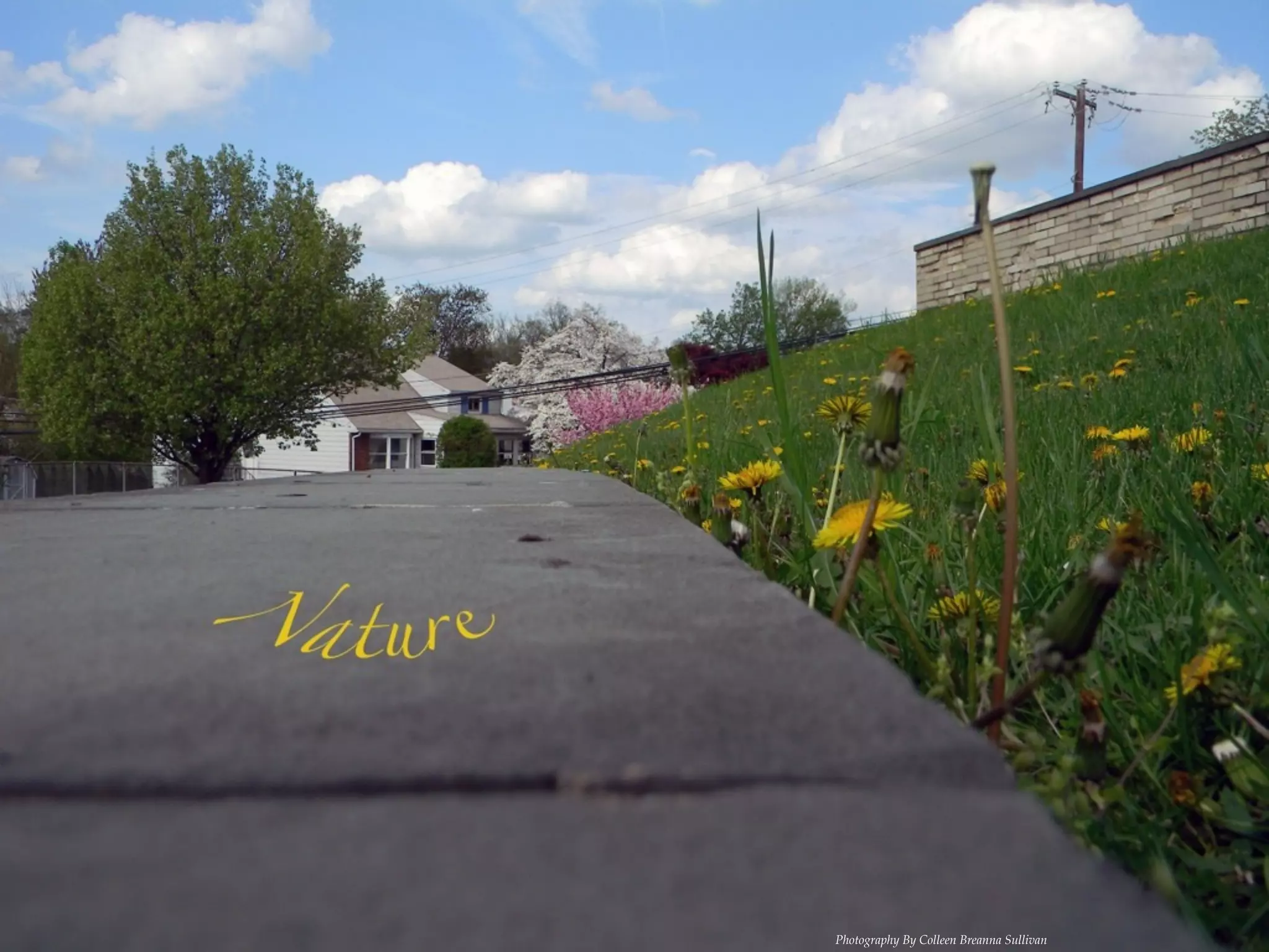 Photography By Colleen Breanna Sullivan
 