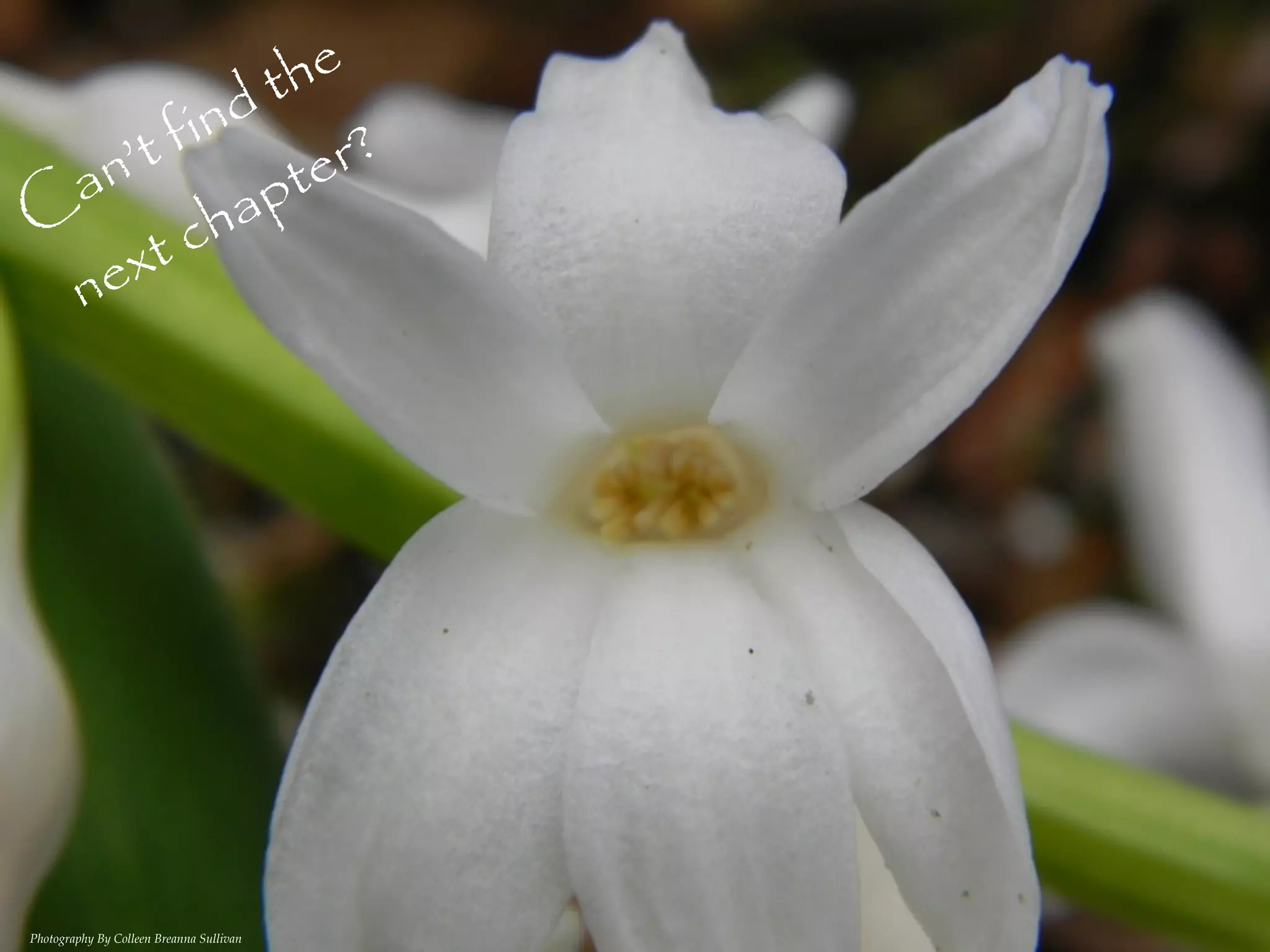 t he
        fi nd
  an ’t         te r?
C        ch ap
 ne xt




Photography By Colleen Breanna Sullivan
 