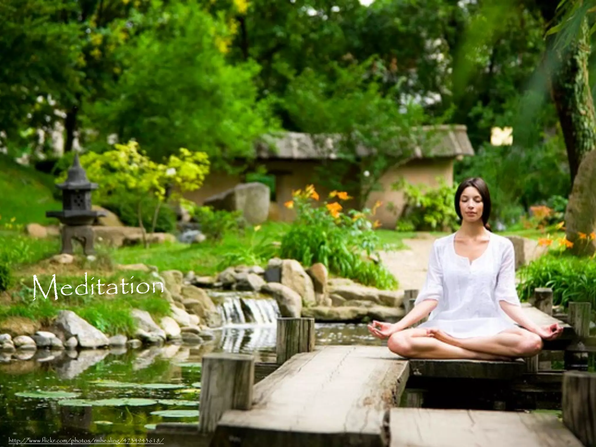 Meditation




http://www.flickr.com/photos/rmhealing/4734943618/
 