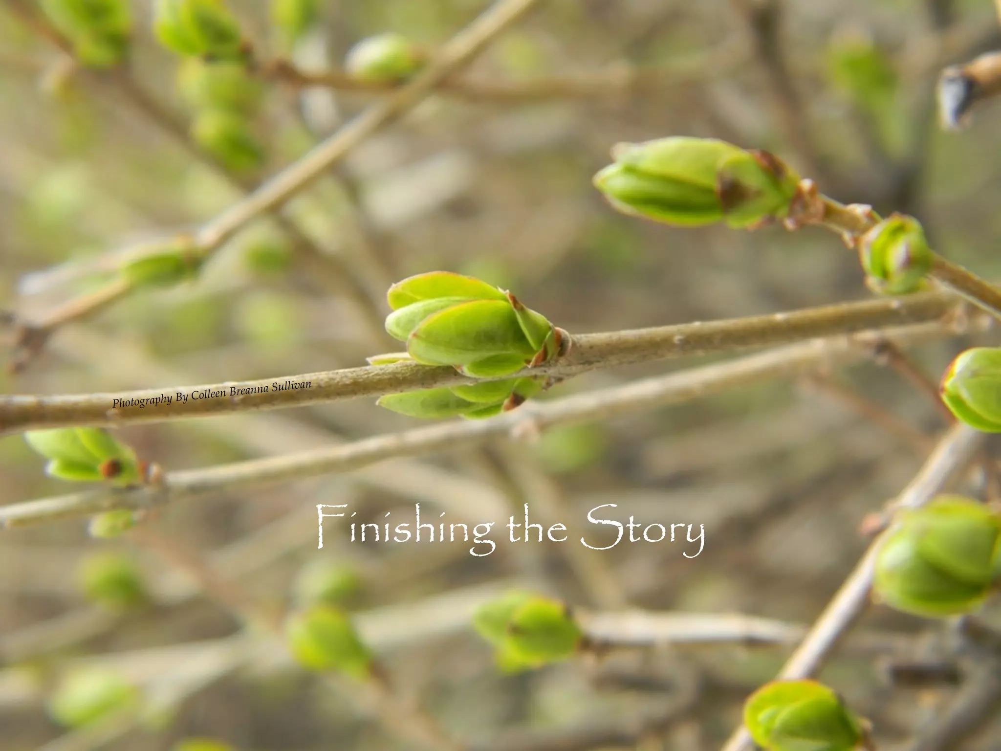 ullivan
            By Colleen Breanna S
Photography




                                          Finishing the Story
 