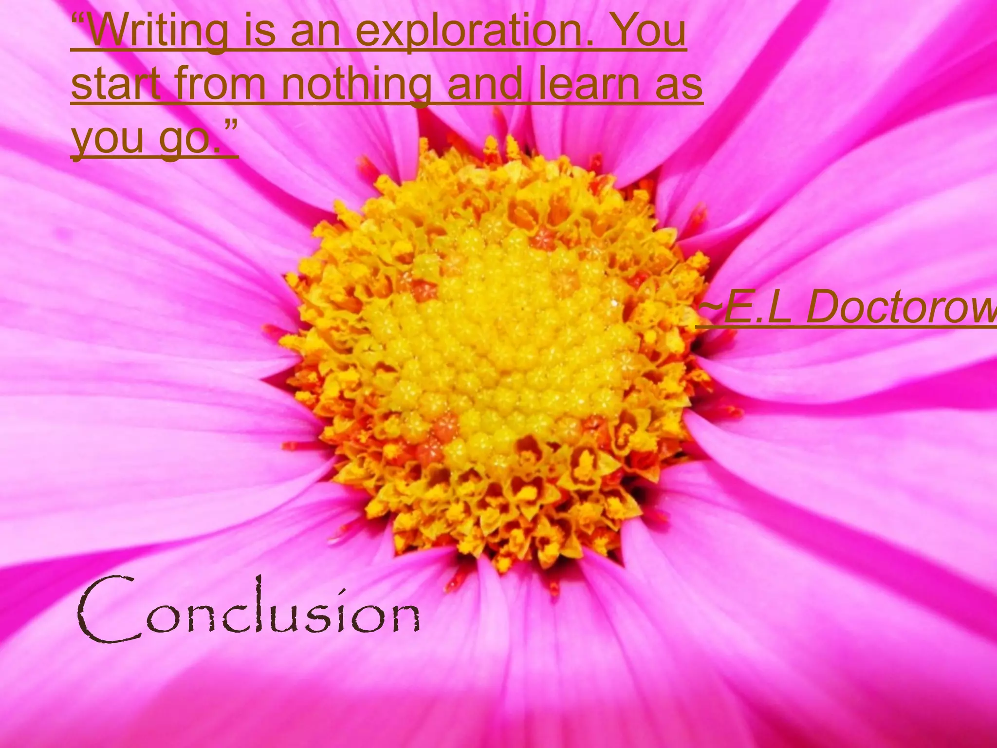 “Writing is an exploration. You
start from nothing and learn as
you go.”


                              ~E.L Doctorow




Conclusion
 