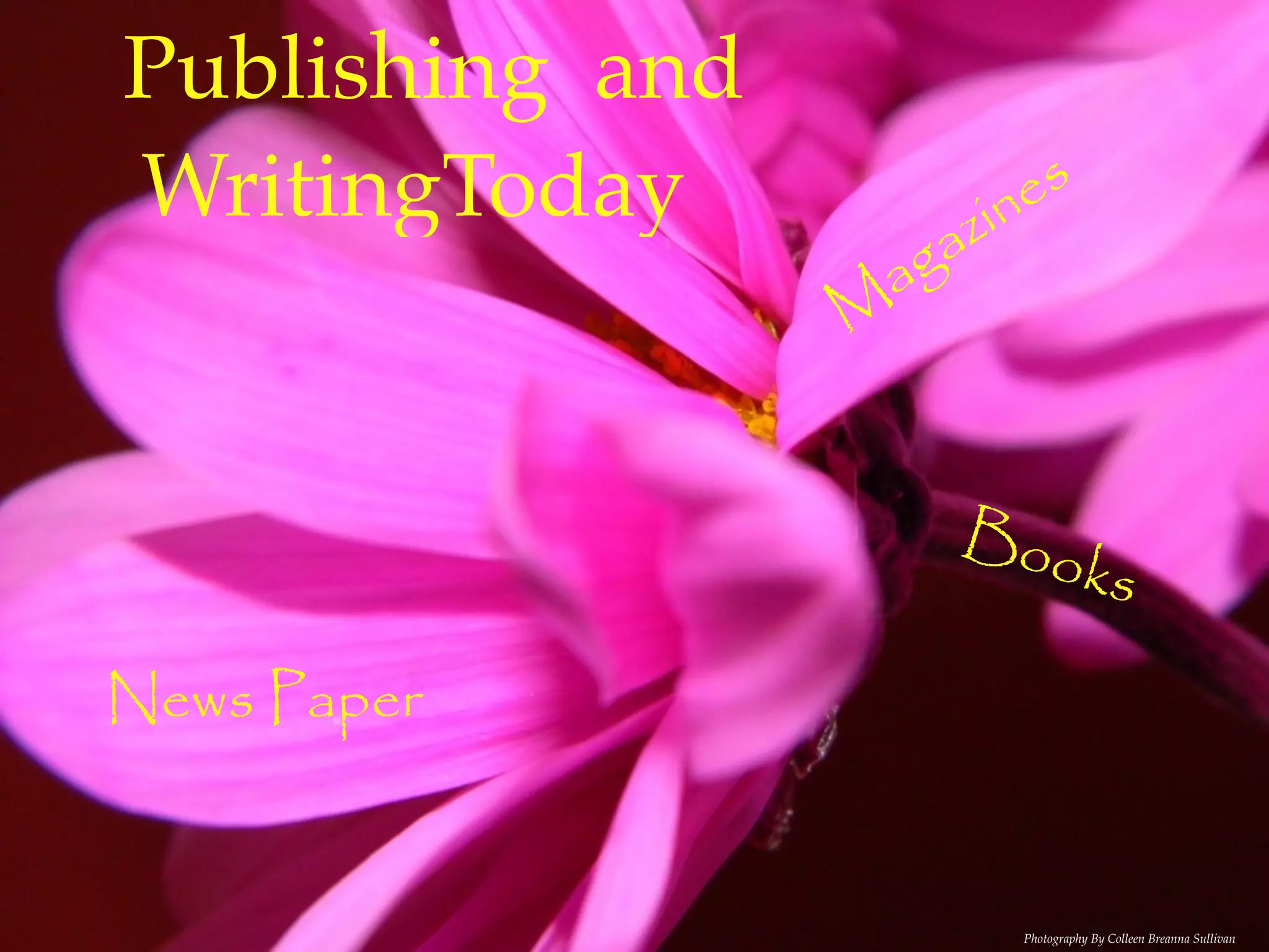 Publishing and
WritingToday             in es
                       az
                     ag
                 M


                       Boo
                           k               s

News Paper


                            Photography By Colleen Breanna Sullivan
 