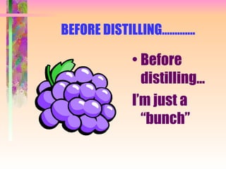 BEFORE DISTILLING…………. Before distilling… I’m just a “bunch”  