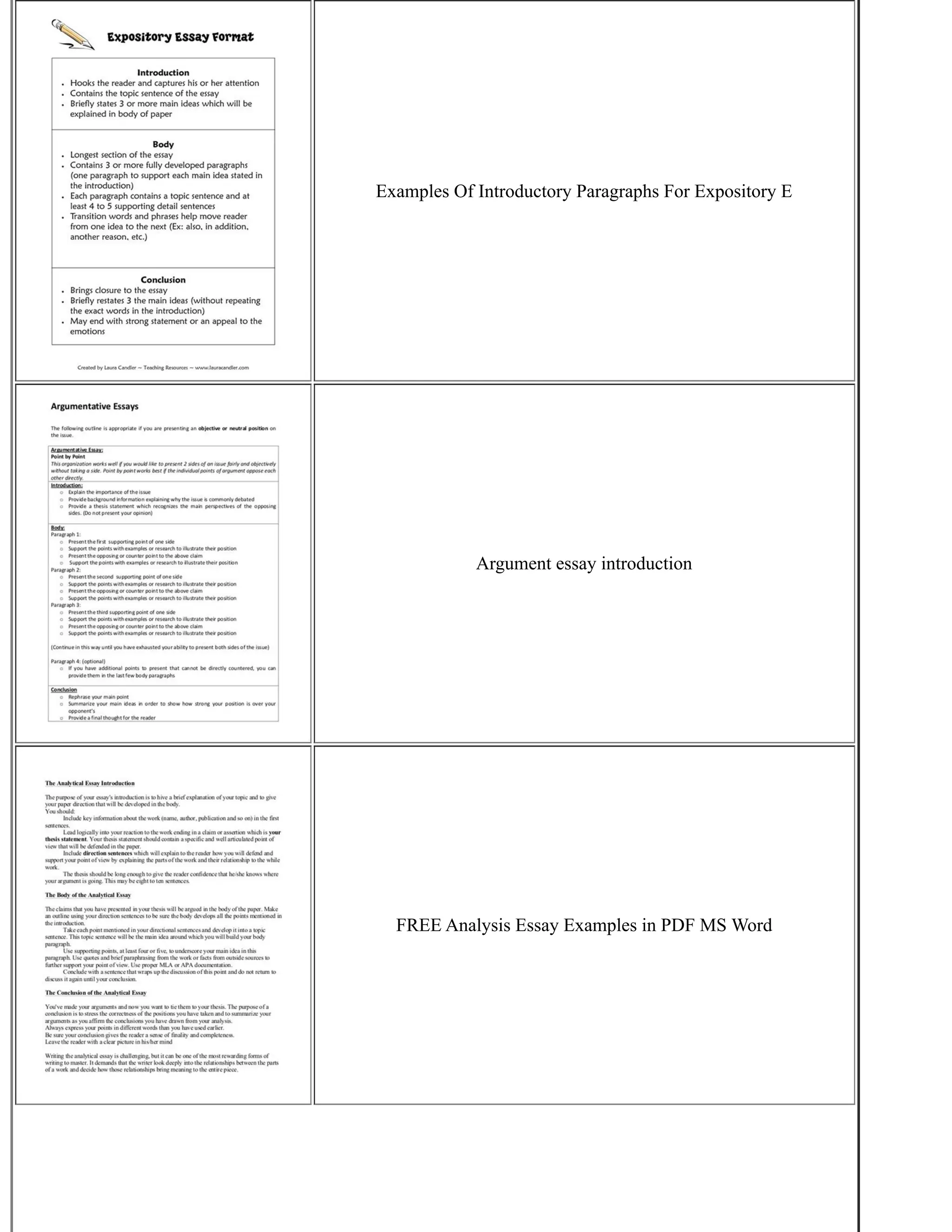 Examples Of Introductory Paragraphs For Expository E
Argument essay introduction
FREE Analysis Essay Examples in PDF MS Word
 