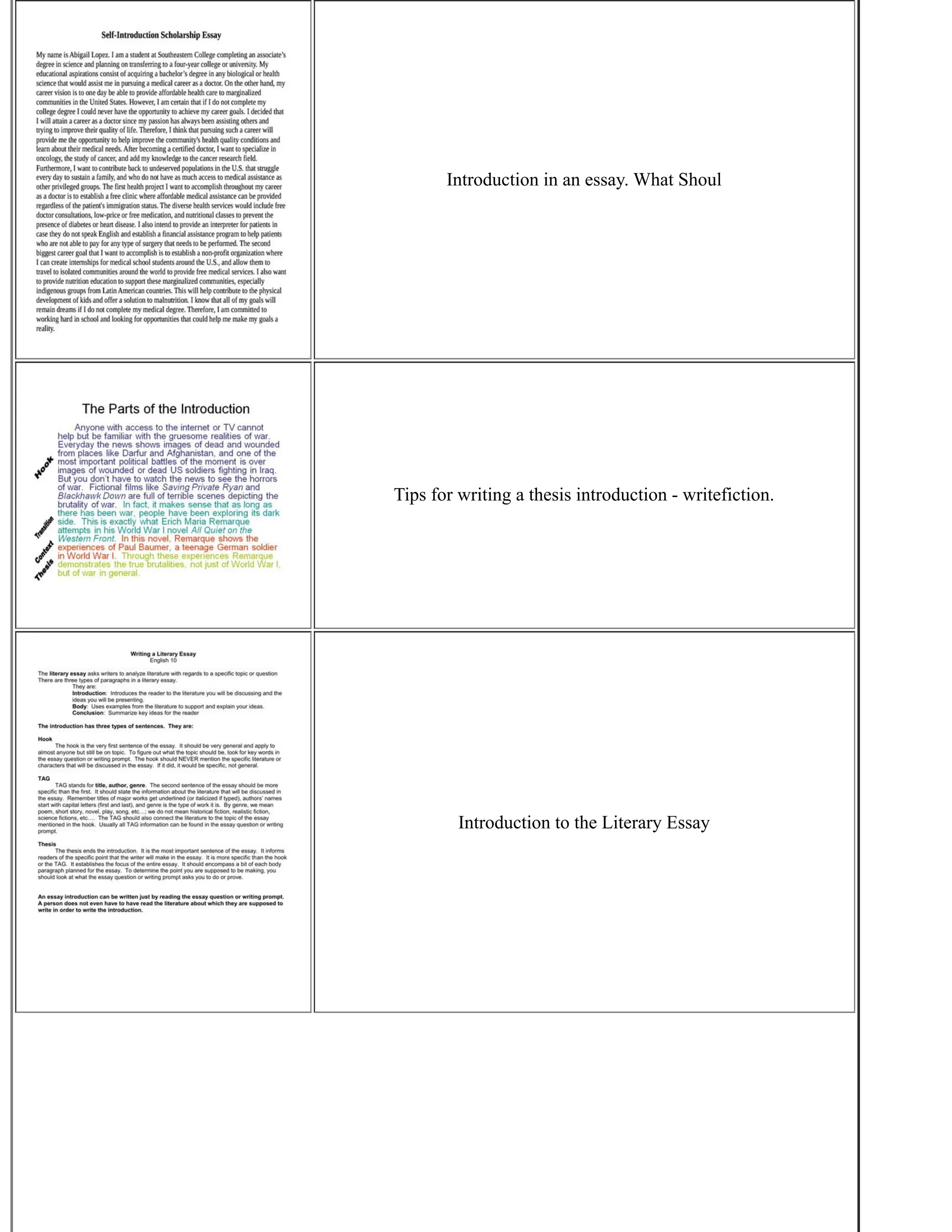 Writing An Essay Introduction | PDF