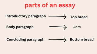 parts of an essay
Introductory paragraph
Body paragraph
Concluding paragraph
Top bread
Jam
Bottom bread
 