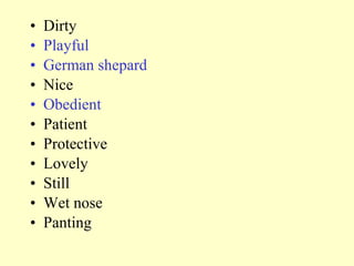 • Dirty
• Playful
• German shepard
• Nice
• Obedient
• Patient
• Protective
• Lovely
• Still
• Wet nose
• Panting
 