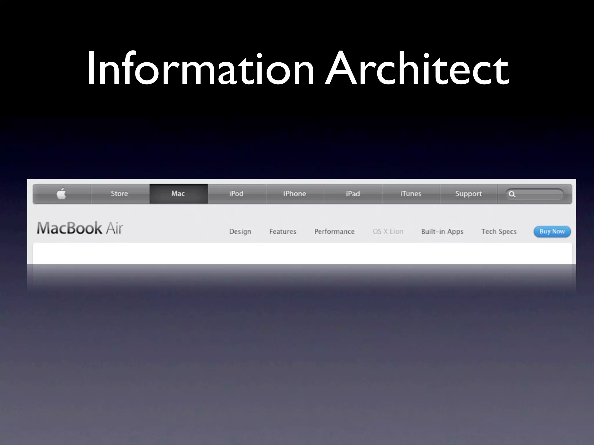 Information Architect
 