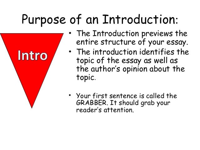 How to write an introduction to an essay