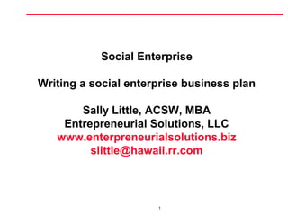 Social Enterprise 
Writing a social enterprise business plan 
Sally Little, ACSW, MBA 
Entrepreneurial Solutions, LLC 
www.enterpreneurialsolutions.biz 
slittle@hawaii.rr.com 
1 
 