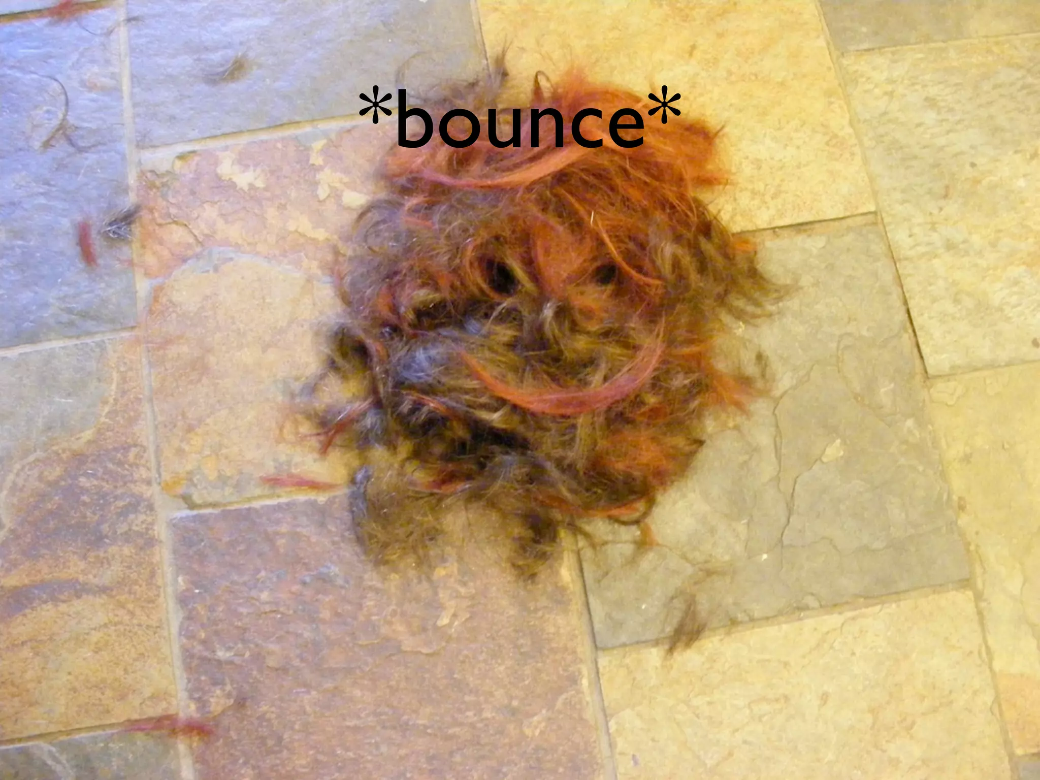 *bounce*
 