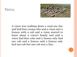 TRIVIA

A vixen was walking down a road one day
and had four young cubs and a vixen met a
lioness with a cub and a vixen started to
boast about a vixen’s family and said a vixen
had four cubs and a lioness only had one
cub and a lioness said a lioness only had
one cub but one cub was a lion.

 