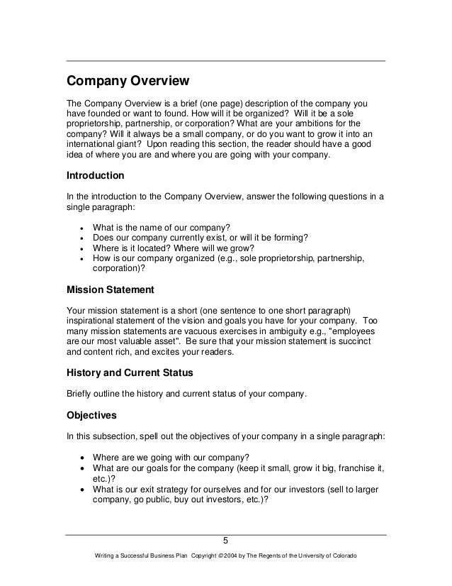 how to write a company overview for a business plan