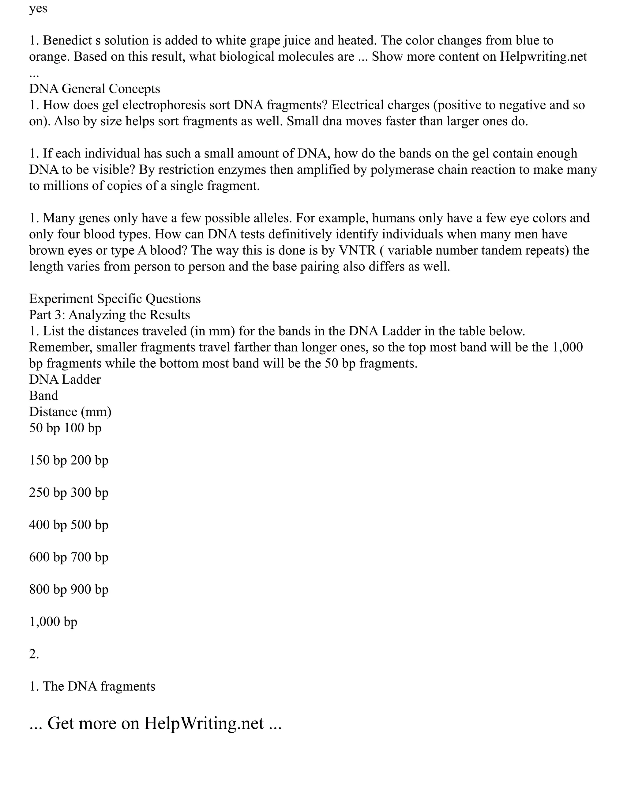 yes
1. Benedict s solution is added to white grape juice and heated. The color changes from blue to
orange. Based on this result, what biological molecules are ... Show more content on Helpwriting.net
...
DNA General Concepts
1. How does gel electrophoresis sort DNA fragments? Electrical charges (positive to negative and so
on). Also by size helps sort fragments as well. Small dna moves faster than larger ones do.
1. If each individual has such a small amount of DNA, how do the bands on the gel contain enough
DNA to be visible? By restriction enzymes then amplified by polymerase chain reaction to make many
to millions of copies of a single fragment.
1. Many genes only have a few possible alleles. For example, humans only have a few eye colors and
only four blood types. How can DNA tests definitively identify individuals when many men have
brown eyes or type A blood? The way this is done is by VNTR ( variable number tandem repeats) the
length varies from person to person and the base pairing also differs as well.
Experiment Specific Questions
Part 3: Analyzing the Results
1. List the distances traveled (in mm) for the bands in the DNA Ladder in the table below.
Remember, smaller fragments travel farther than longer ones, so the top most band will be the 1,000
bp fragments while the bottom most band will be the 50 bp fragments.
DNA Ladder
Band
Distance (mm)
50 bp 100 bp
150 bp 200 bp
250 bp 300 bp
400 bp 500 bp
600 bp 700 bp
800 bp 900 bp
1,000 bp
2.
1. The DNA fragments
... Get more on HelpWriting.net ...
 