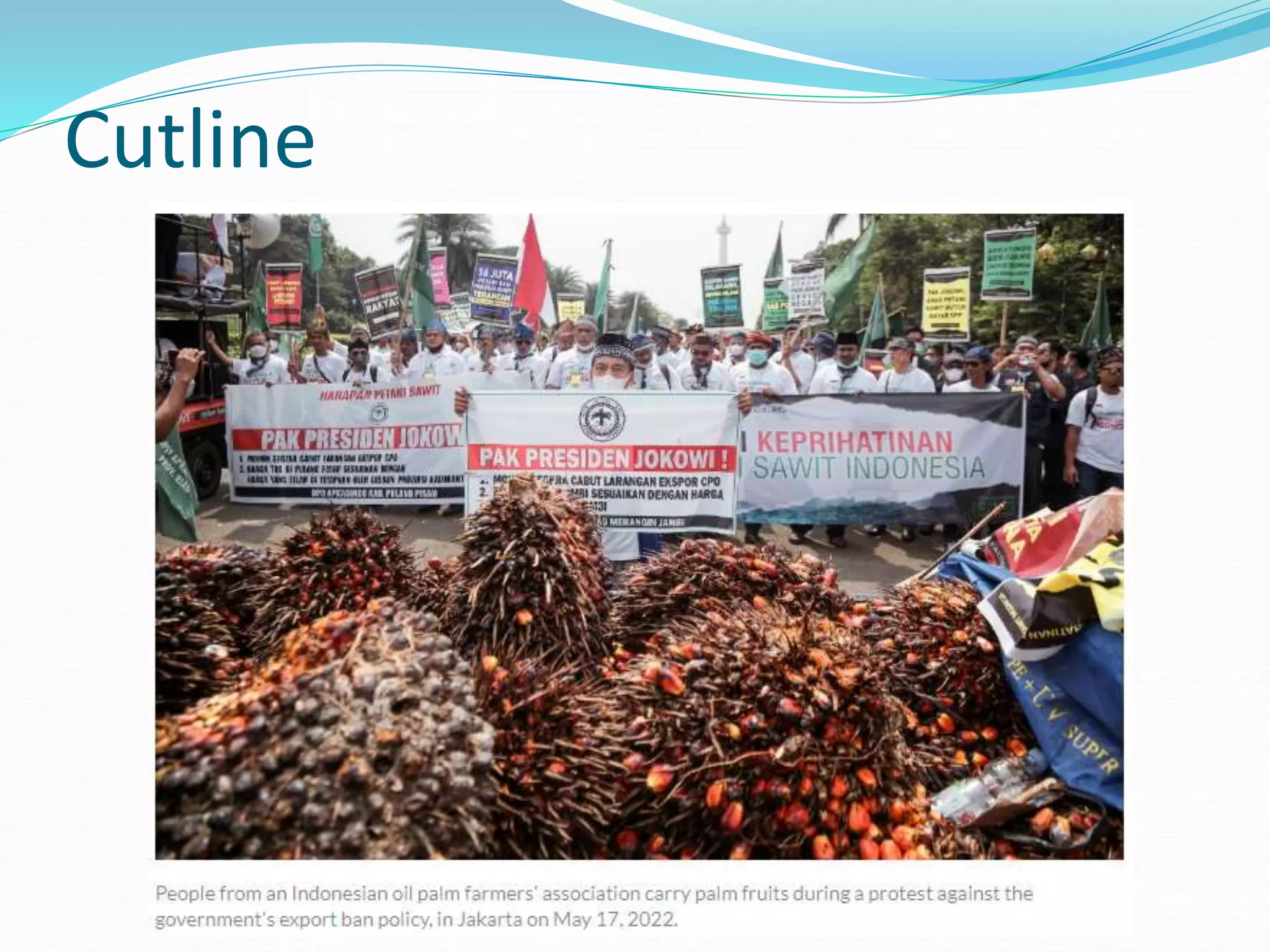 writing captions.ppt