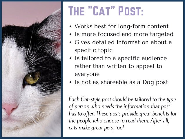 information about cats and dogs