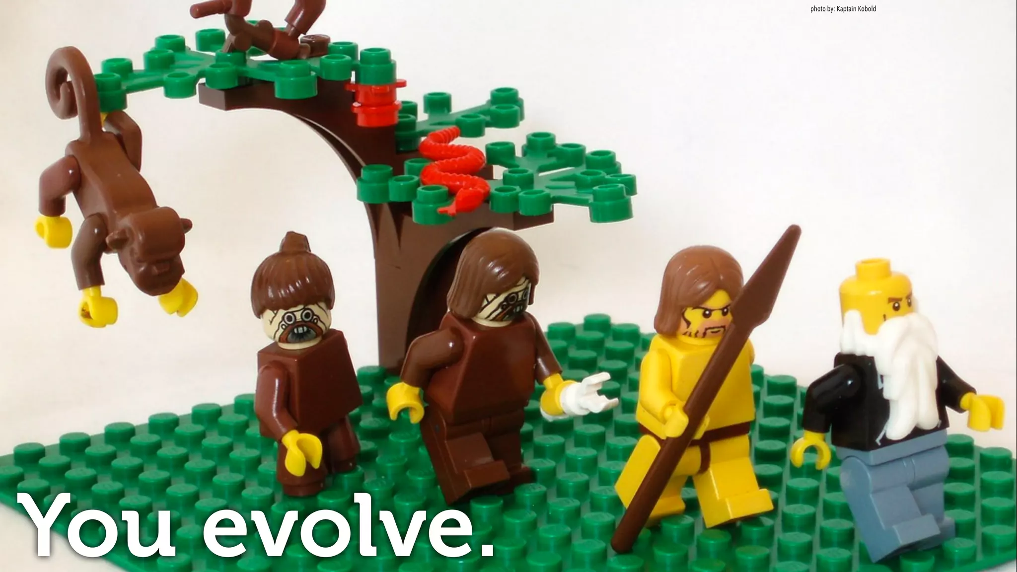 You evolve.
photo by: Kaptain Kobold
 