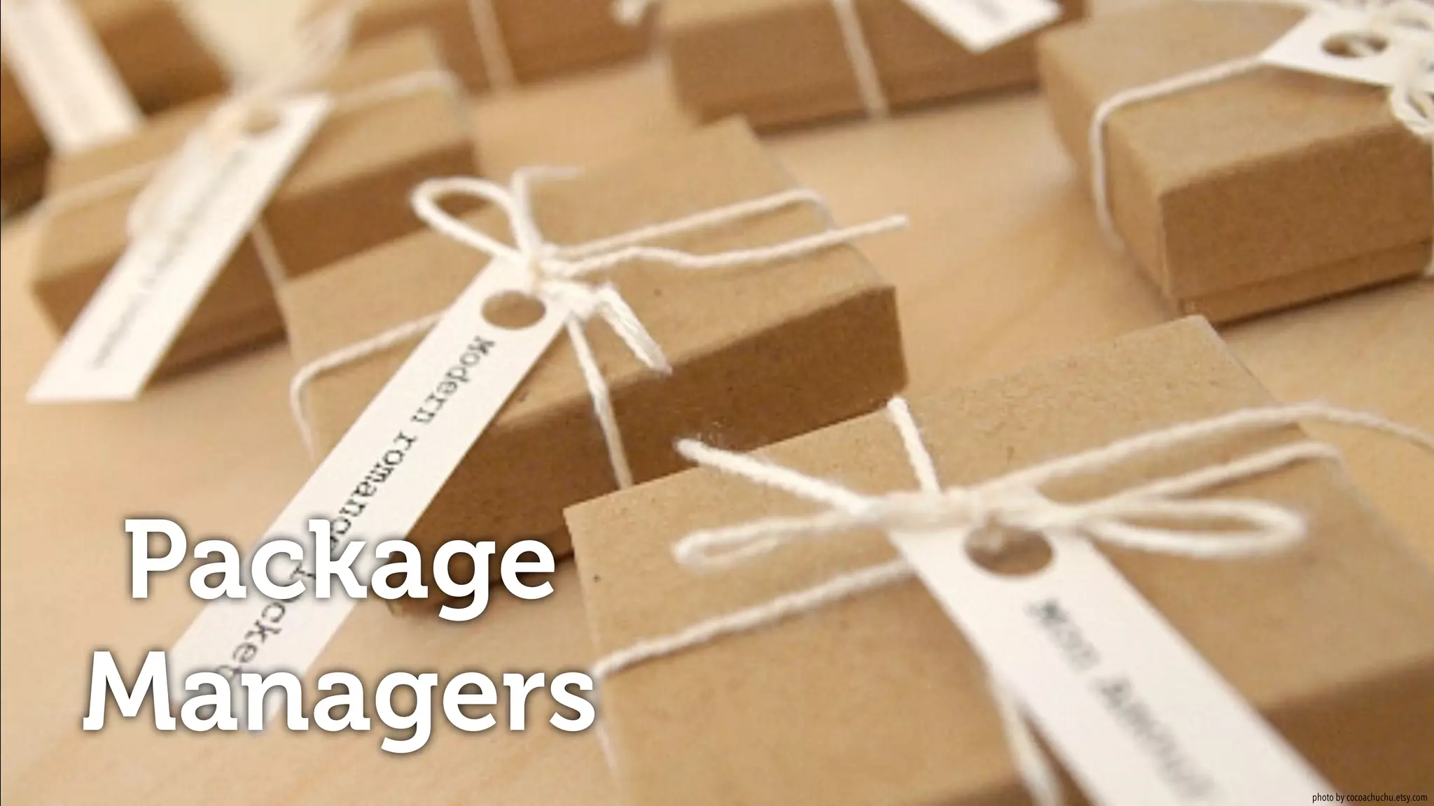 Package
Managers
photo by cocoachuchu.etsy.com
 
