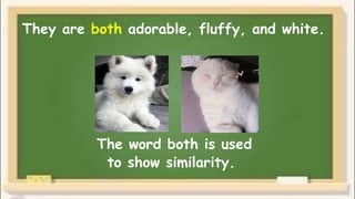 They are both adorable, fluffy, and white.
The word both is used
to show similarity.
 
