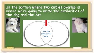 In the portion where two circles overlap is
where we’re going to write the similarities of
the dog and the cat.
Put the
similarities
here.
 