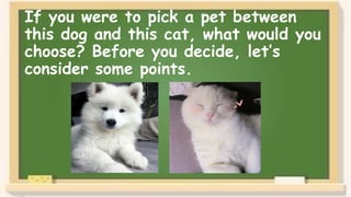 If you were to pick a pet between
this dog and this cat, what would you
choose? Before you decide, let’s
consider some points.
 