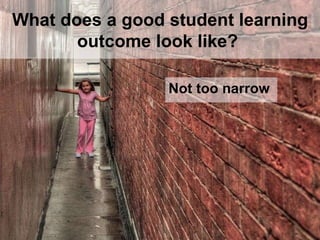 What does a good student learning outcome look like?   Not too narrow 